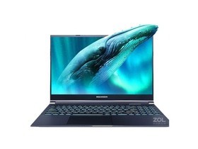 机械革命极光Pro(i7 12700H/16GB/512GB/RTX3060)参数及笔记本电脑配置介绍插图