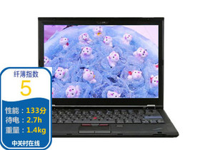 ThinkPad X300(6477HC1)参数及笔记本电脑配置介绍插图