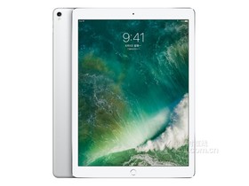 苹果12.9英寸新iPad Pro（256GB/WLAN）参数及平板电脑配置介绍插图